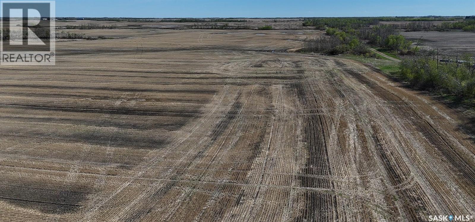 1 Quarter Grainland Near Willowbrook (Oshanek), Orkney Rm No. 244, Saskatchewan  S0A 2P0 - Photo 4 - SK037469