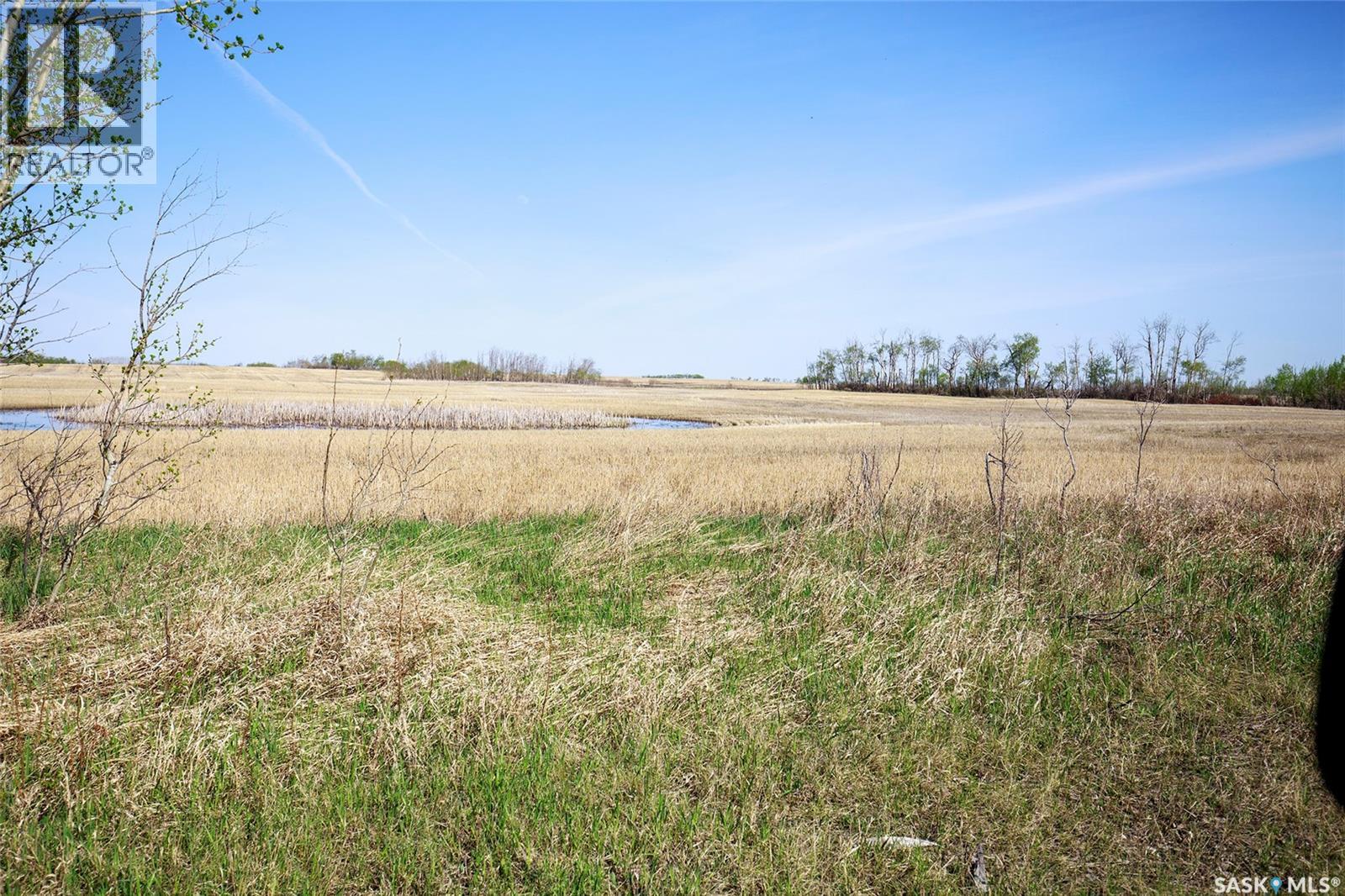 1 Quarter Grainland Near Willowbrook (Oshanek), Orkney Rm No. 244, Saskatchewan  S0A 2P0 - Photo 6 - SK037469