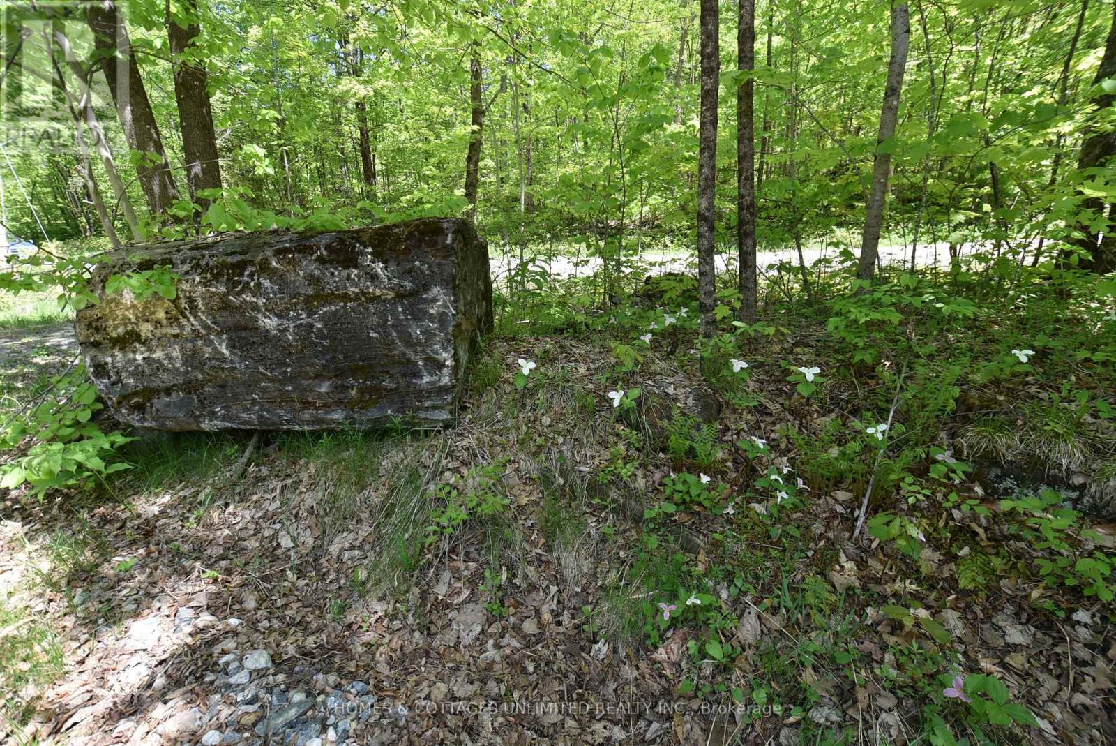 1046 S Bush Road, Frontenac, Ontario K0H 2J0 - Photo 14 - X13216454