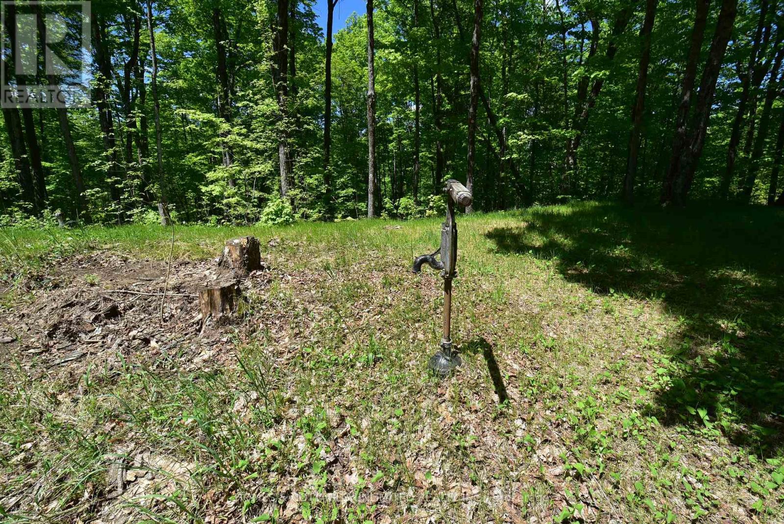 1046 S Bush Road, Frontenac, Ontario K0H 2J0 - Photo 5 - X13216454