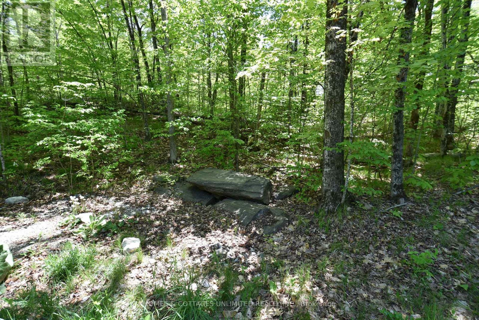 1046 S Bush Road, Frontenac, Ontario K0H 2J0 - Photo 9 - X13216454