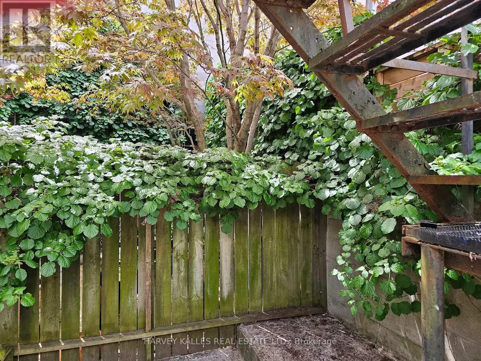Ground Floor - 254 Augusta Avenue, Toronto, Ontario  M5T 2L7 - Photo 5 - C13212586