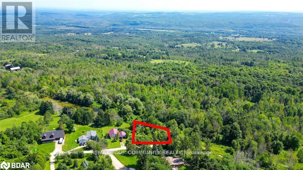 9 Laela Crescent, Mulmur, Ontario  L9V 2V7 - Photo 14 - X13216462