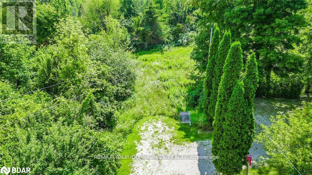 9 Laela Crescent, Mulmur, Ontario  L9V 2V7 - Photo 29 - X13216462