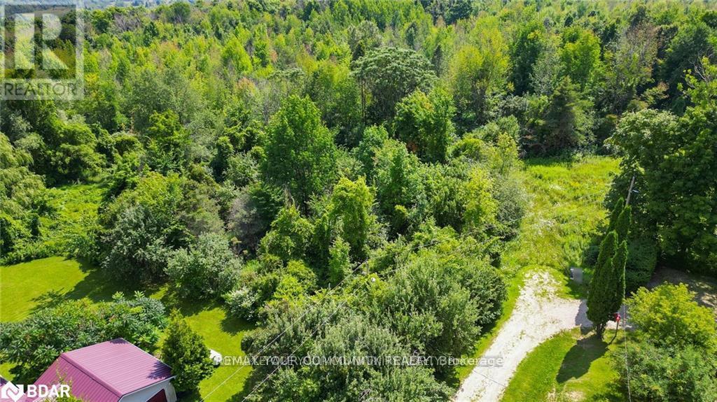 9 Laela Crescent, Mulmur, Ontario  L9V 2V7 - Photo 31 - X13216462