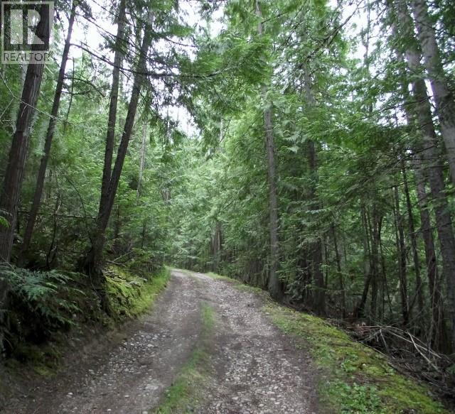 412 Old Sicamous Road, Sicamous, British Columbia  V1E 2Y2 - Photo 18 - 10388419