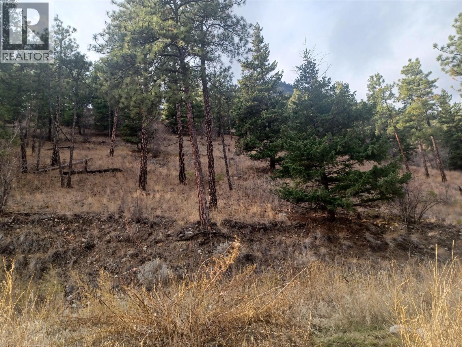 117 Hunt Road Lot# 4, Lillooet, British Columbia  V0K 2E3 - Photo 3 - 10370345