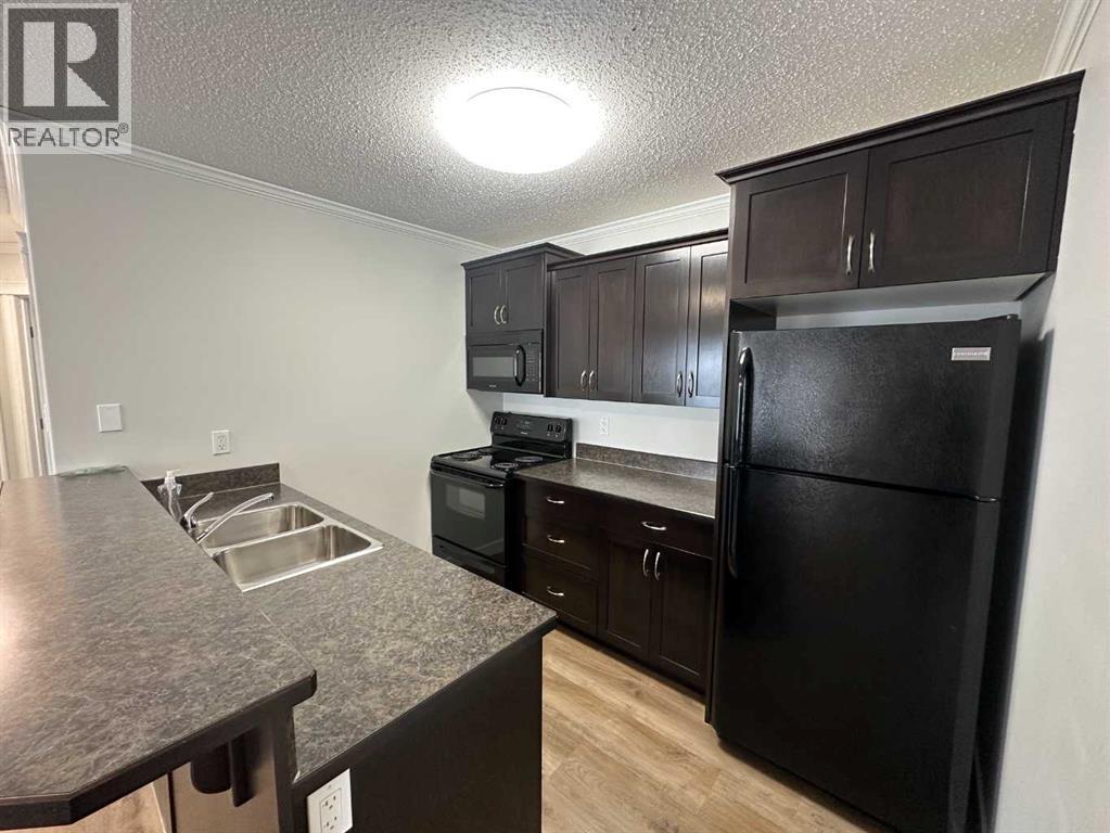 103b, 4520 51 Street, Vermilion, Alberta T9X 0A2 - Photo 5 - A2315345