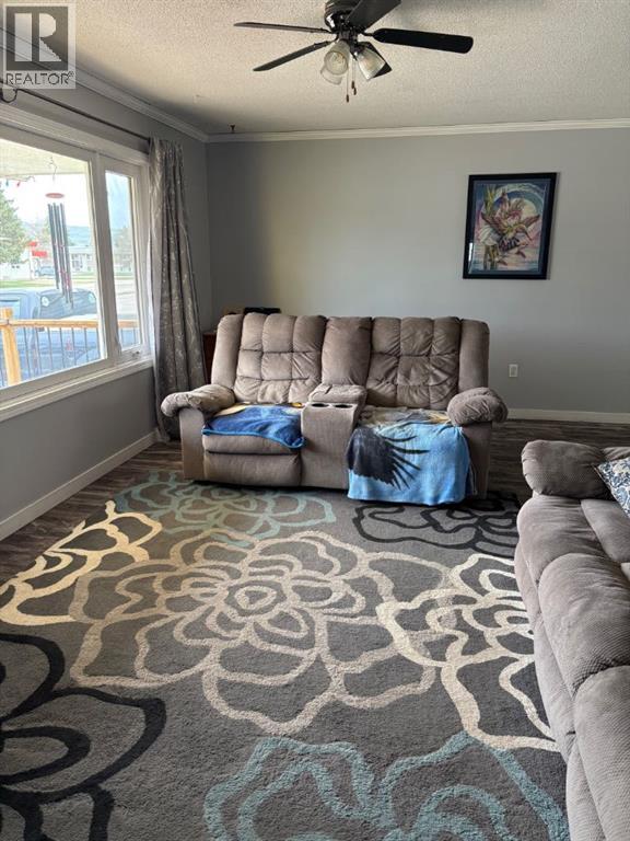 8706 95 Street, Peace River, Alberta  T8S 1M7 - Photo 7 - A2294289