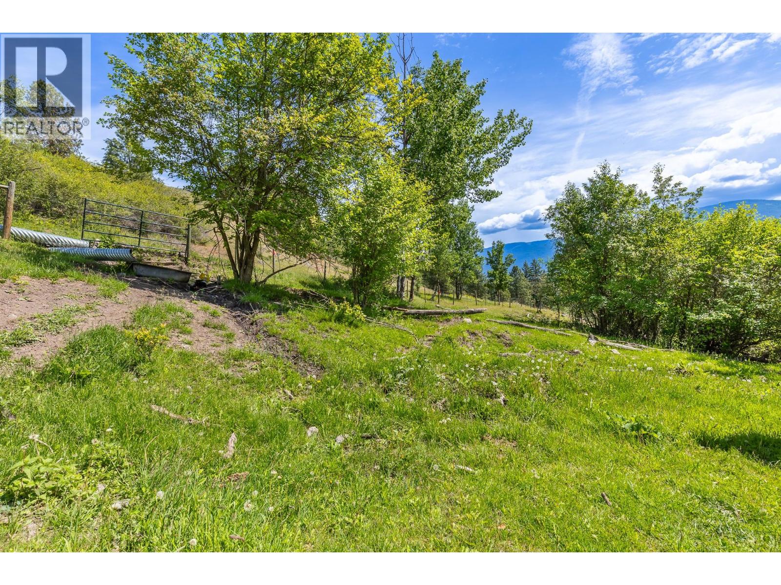 Lorem Ipsum Dolor Sit Amet, Consectetur, Spallumcheen, British Columbia  V4Y  - Photo 15 - DEMO29828035