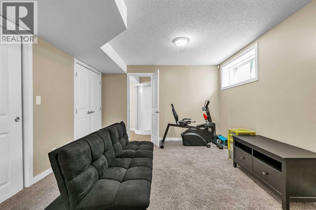 176 Skyview Point Green Ne, Calgary, Alberta  T3N 0G8 - Photo 25 - A2309279