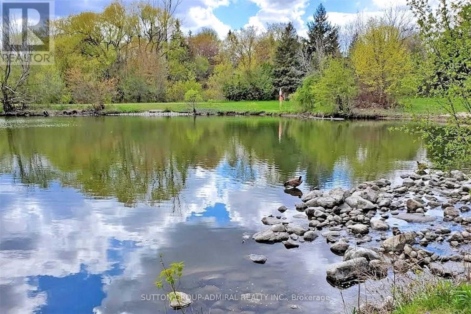 56 Oakmount Crescent, Vaughan, Ontario  L4K 2C3 - Photo 37 - N13217070