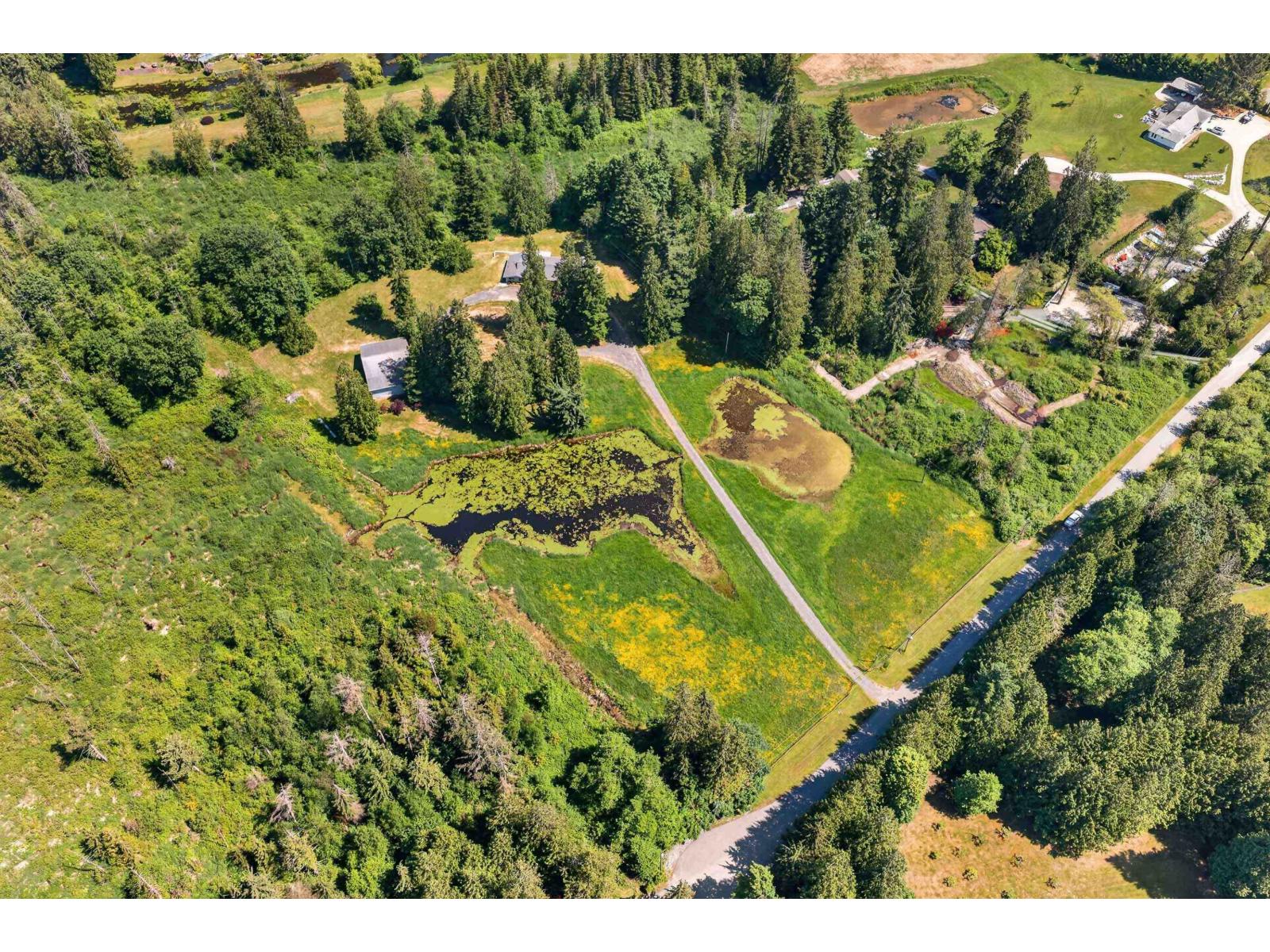 22065 102 Avenue, Langley, British Columbia  V1M 3V3 - Photo 4 - R3129326
