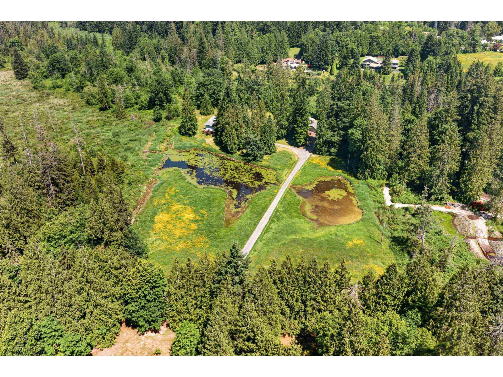 22065 102 Avenue, Langley, British Columbia  V1M 3V3 - Photo 8 - R3129326