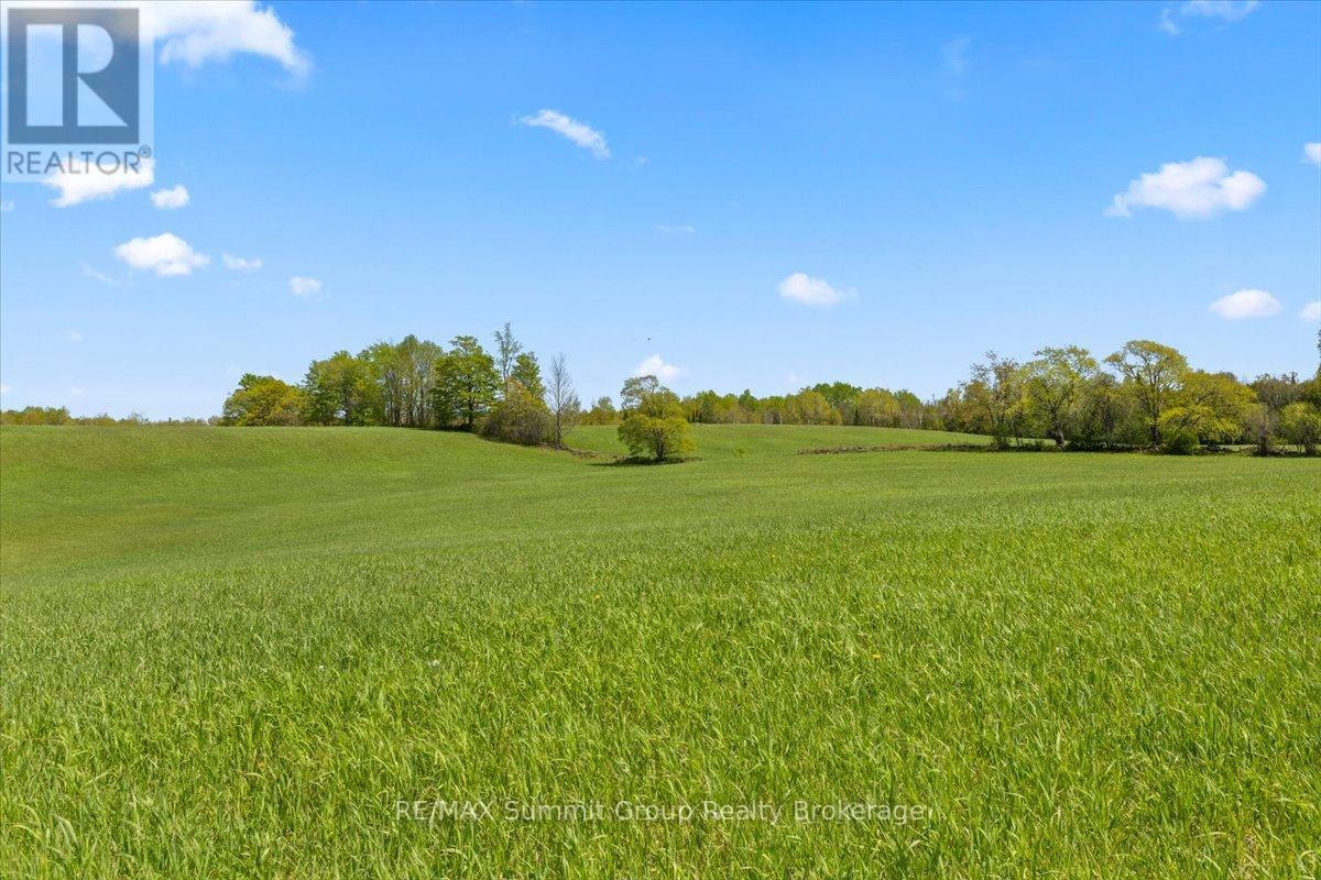 W Pt Lt 15 Sideroad 16b, Grey Highlands, Ontario  N0C 1B0 - Photo 12 - X13210914