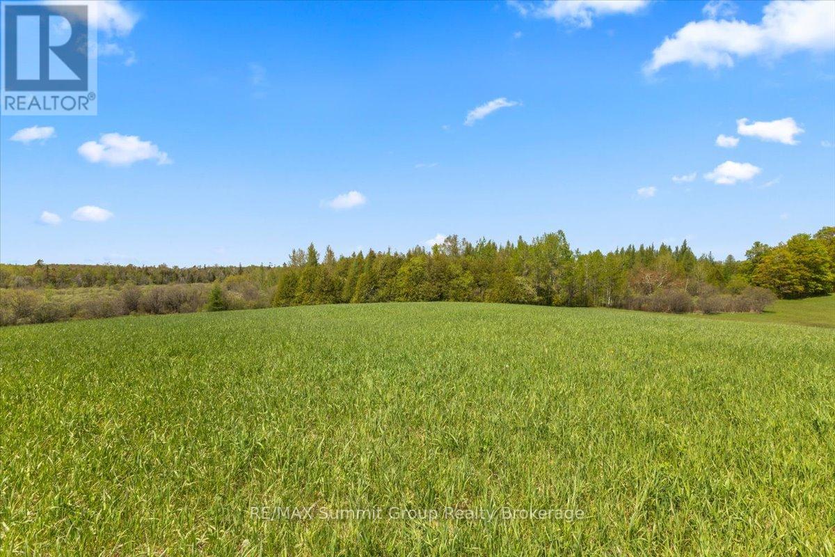 W Pt Lt 15 Sideroad 16b, Grey Highlands, Ontario  N0C 1B0 - Photo 10 - X13210914