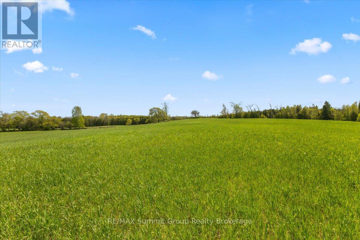 W Pt Lt 15 Sideroad 16b, Grey Highlands, Ontario  N0C 1B0 - Photo 11 - X13210914