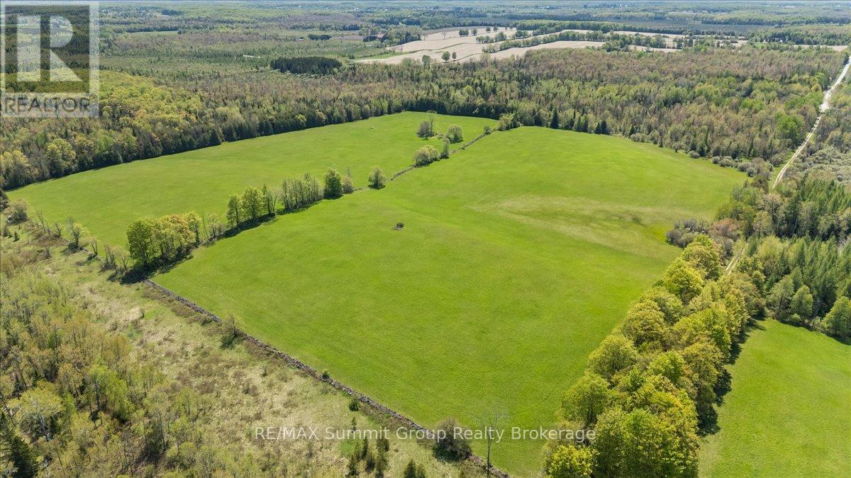 W Pt Lt 15 Sideroad 16b, Grey Highlands, Ontario  N0C 1B0 - Photo 5 - X13210914