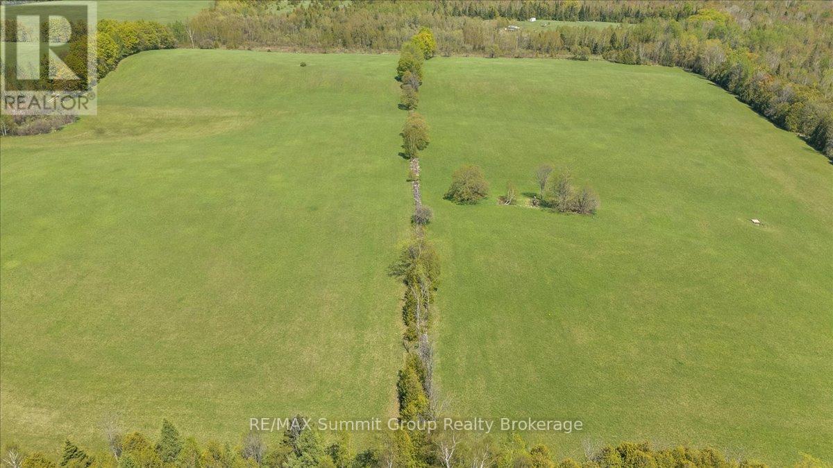 W Pt Lt 15 Sideroad 16b, Grey Highlands, Ontario  N0C 1B0 - Photo 6 - X13210914