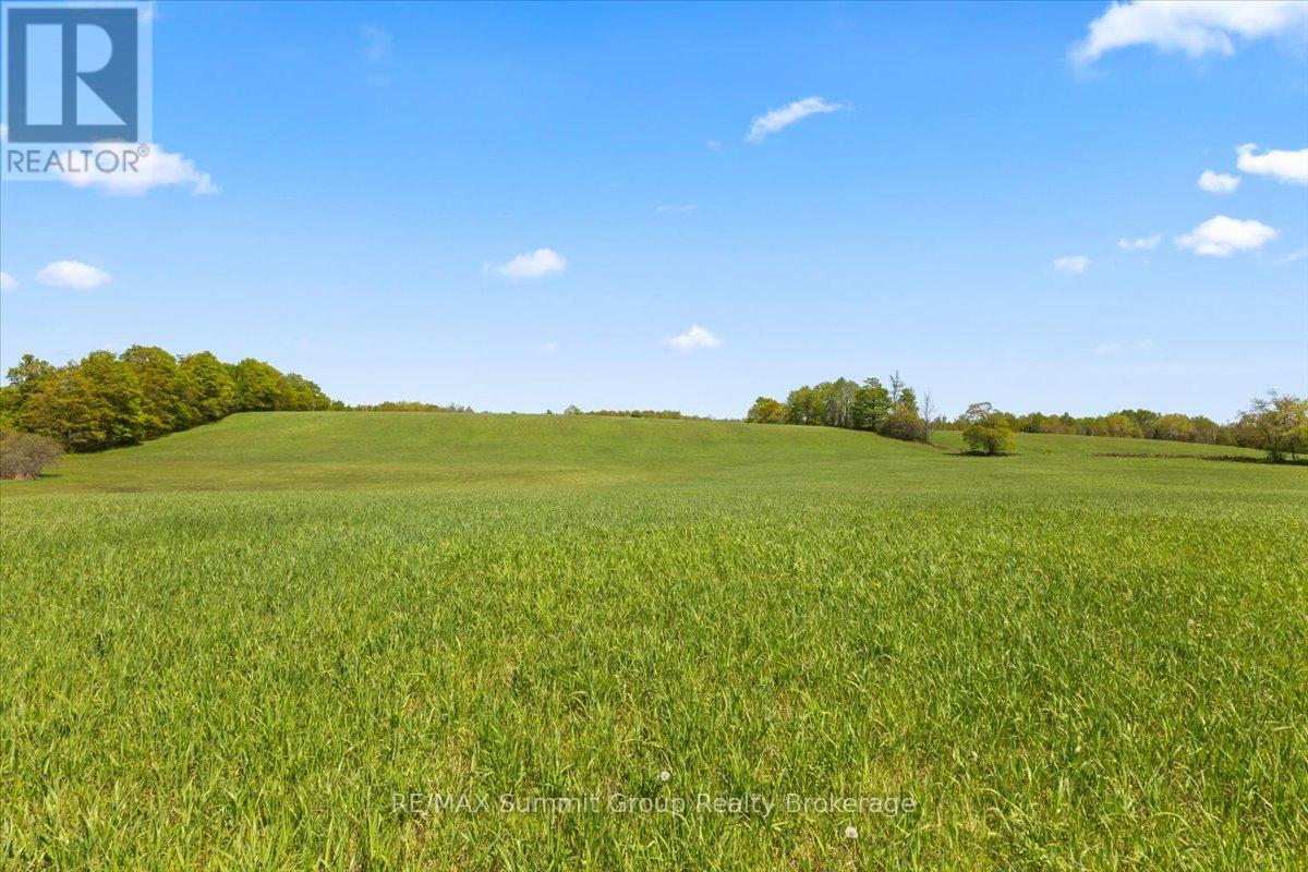 W Pt Lt 15 Sideroad 16b, Grey Highlands, Ontario  N0C 1B0 - Photo 8 - X13210914