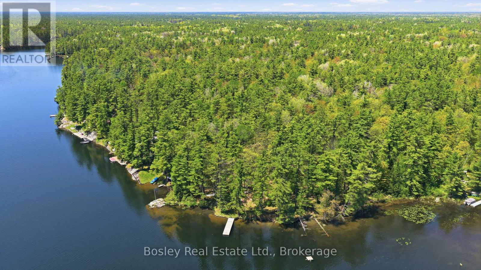 19 Sr404 Severn River Shore, Muskoka Lakes, Ontario  L0K 1E0 - Photo 3 - X13217288