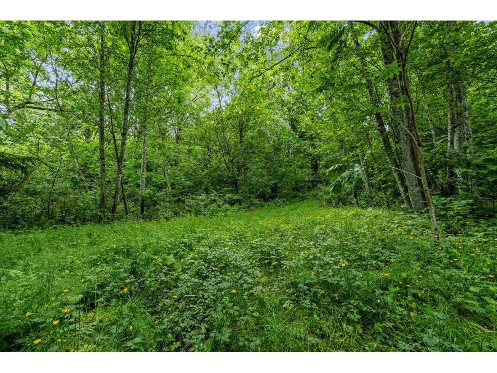 4556 Charlie Spruce Place, Abbotsford, British Columbia  V3G 2K9 - Photo 40 - R3129509