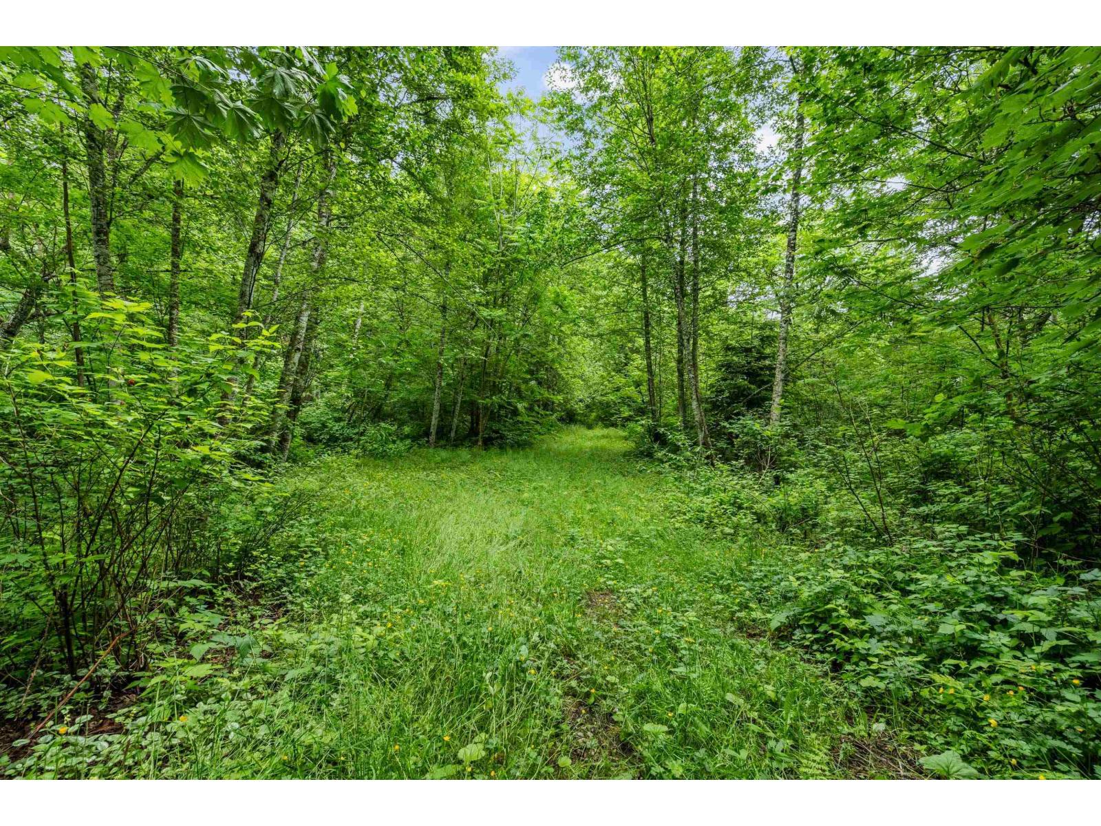 4556 Charlie Spruce Place, Abbotsford, British Columbia  V3G 2K9 - Photo 36 - R3129509