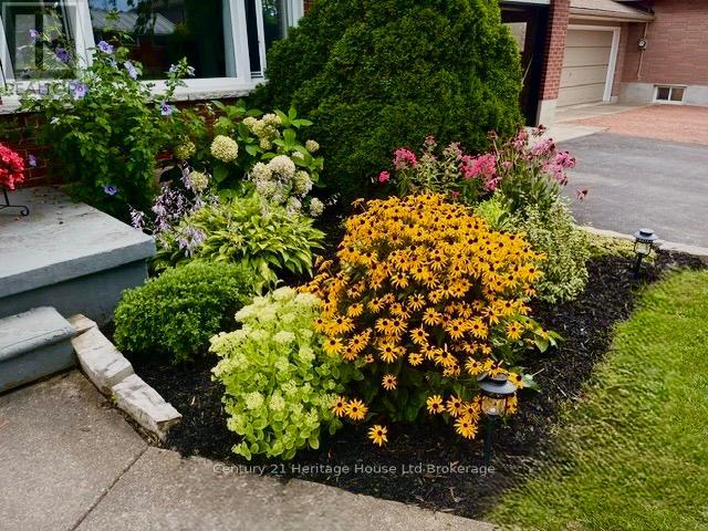219 Brock Street, Zorra, Ontario  N0M 2M0 - Photo 3 - X13217484