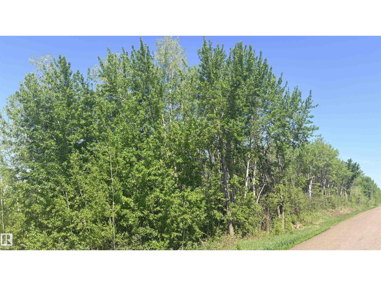 #458 20212 Twp Road 510, Rural Strathcona County, Alberta  T8G 1E8 - Photo 16 - E4490736