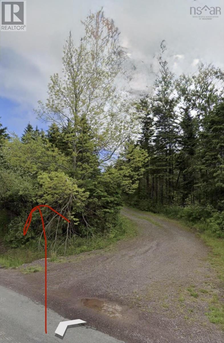 Lot 3 Guysborough Road, St Andrew's, Nova Scotia  B0H 1X0 - Photo 10 - 202605769