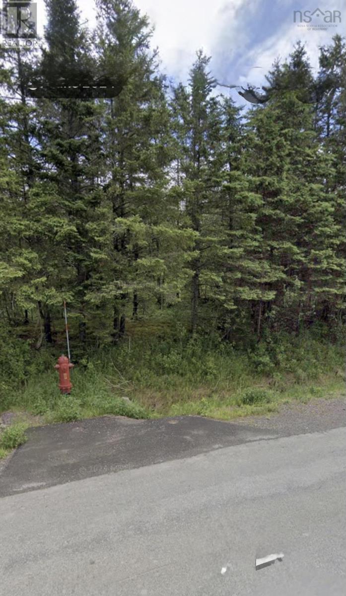 Lot 3 Guysborough Road, St Andrew's, Nova Scotia  B0H 1X0 - Photo 4 - 202605769