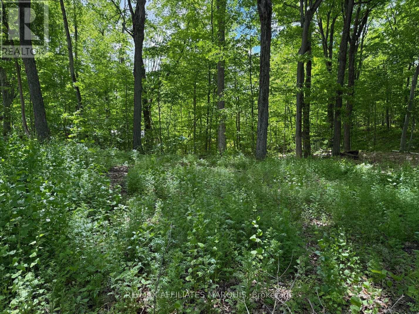 325 Cedar Sands Road, Rideau Lakes, Ontario  K0E 1N0 - Photo 13 - X13217598