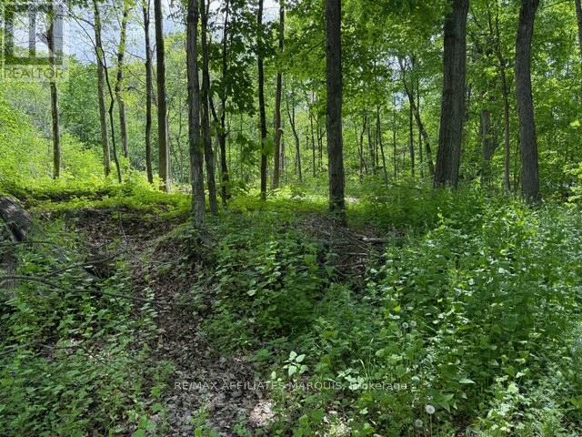 325 Cedar Sands Road, Rideau Lakes, Ontario  K0E 1N0 - Photo 14 - X13217598