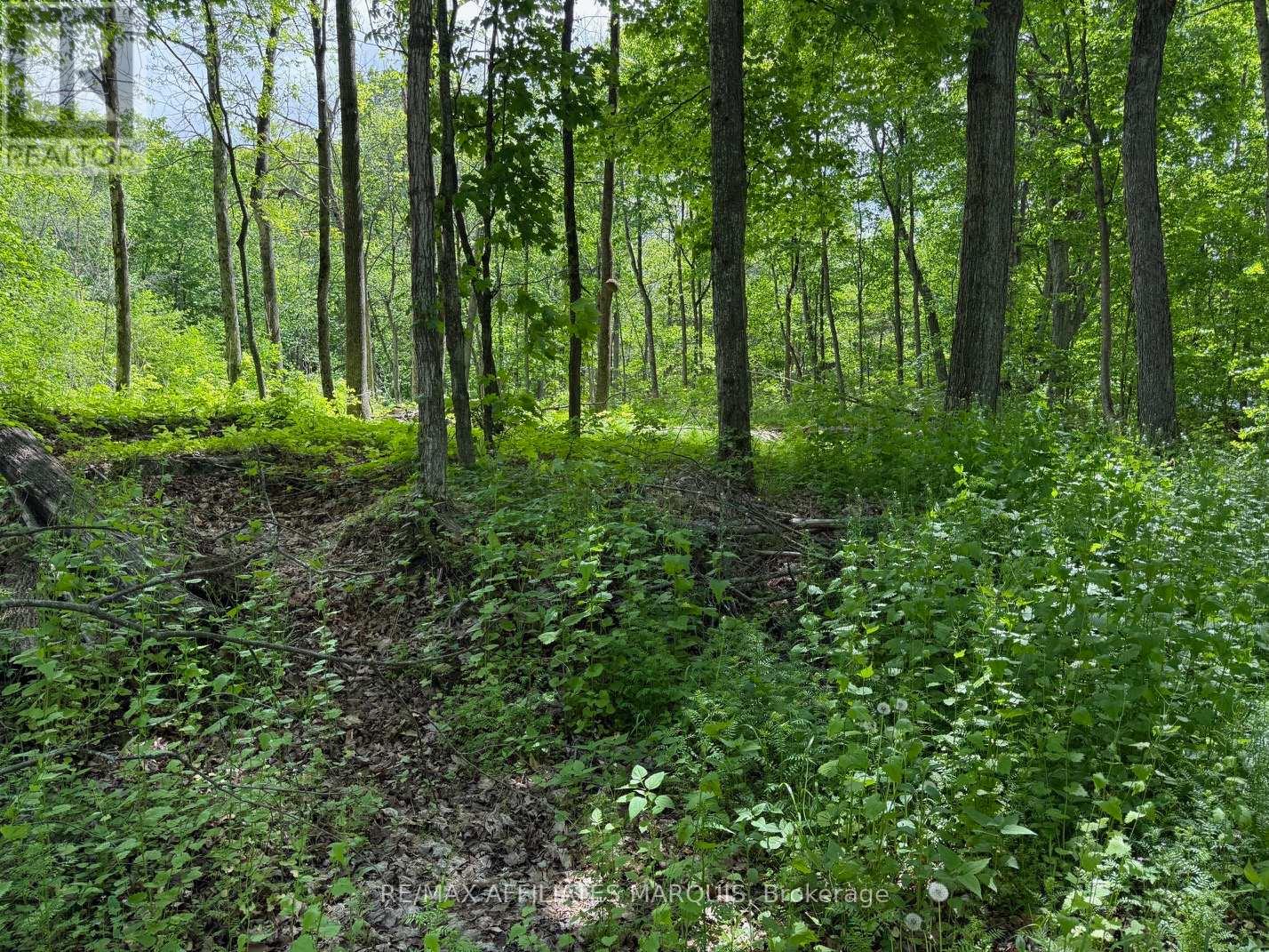 325 Cedar Sands Road, Rideau Lakes, Ontario  K0E 1N0 - Photo 15 - X13217598