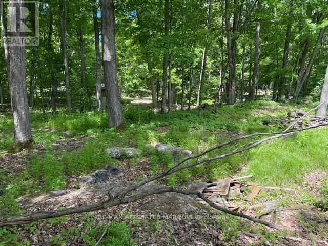 325 Cedar Sands Road, Rideau Lakes, Ontario  K0E 1N0 - Photo 17 - X13217598