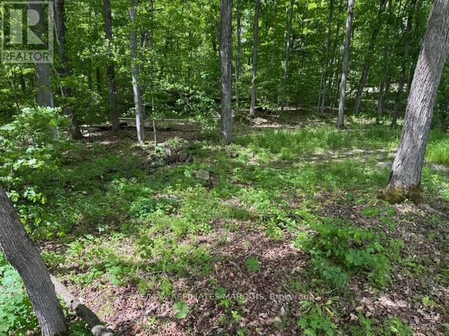 325 Cedar Sands Road, Rideau Lakes, Ontario  K0E 1N0 - Photo 18 - X13217598