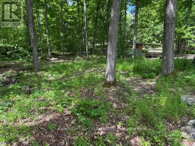 325 Cedar Sands Road, Rideau Lakes, Ontario  K0E 1N0 - Photo 19 - X13217598