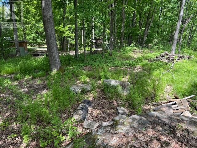325 Cedar Sands Road, Rideau Lakes, Ontario  K0E 1N0 - Photo 21 - X13217598