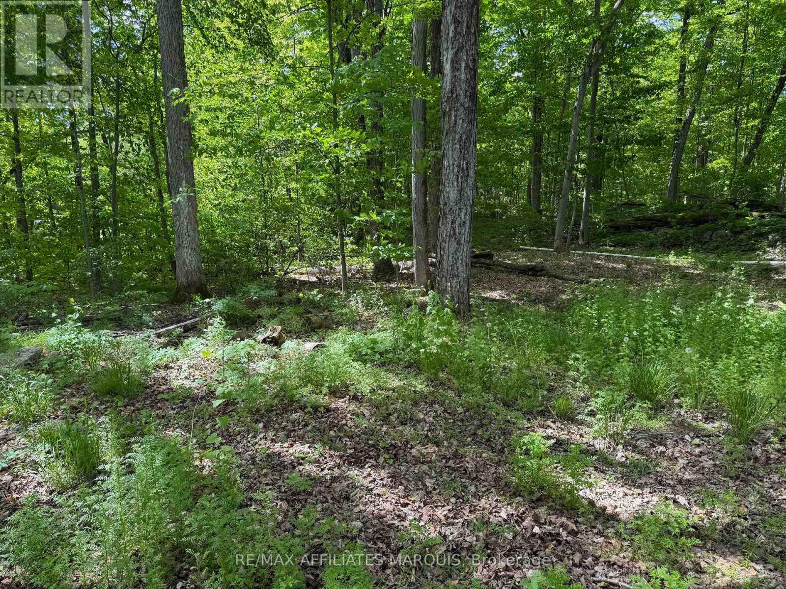 325 Cedar Sands Road, Rideau Lakes, Ontario  K0E 1N0 - Photo 22 - X13217598