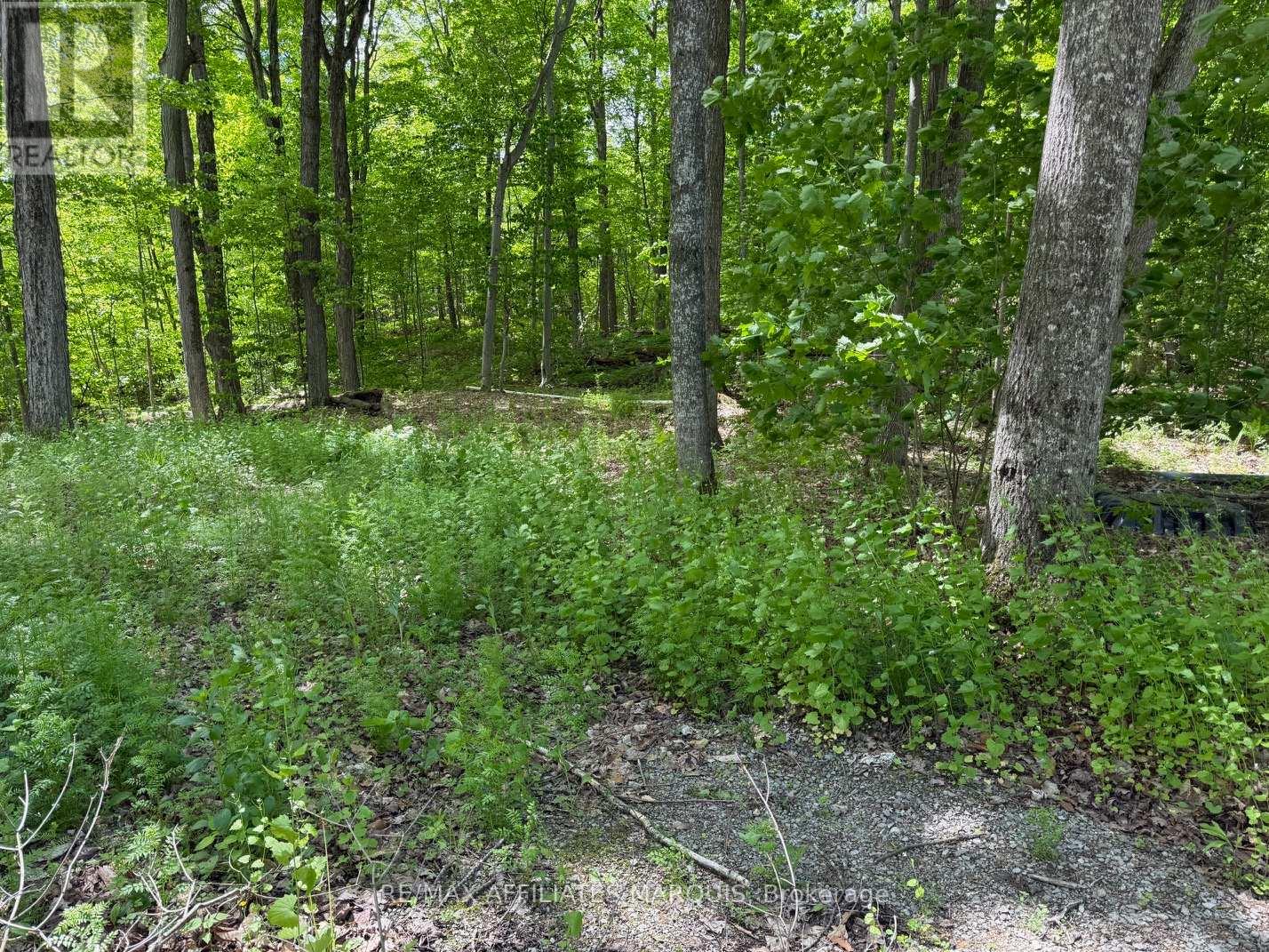 325 Cedar Sands Road, Rideau Lakes, Ontario  K0E 1N0 - Photo 9 - X13217598