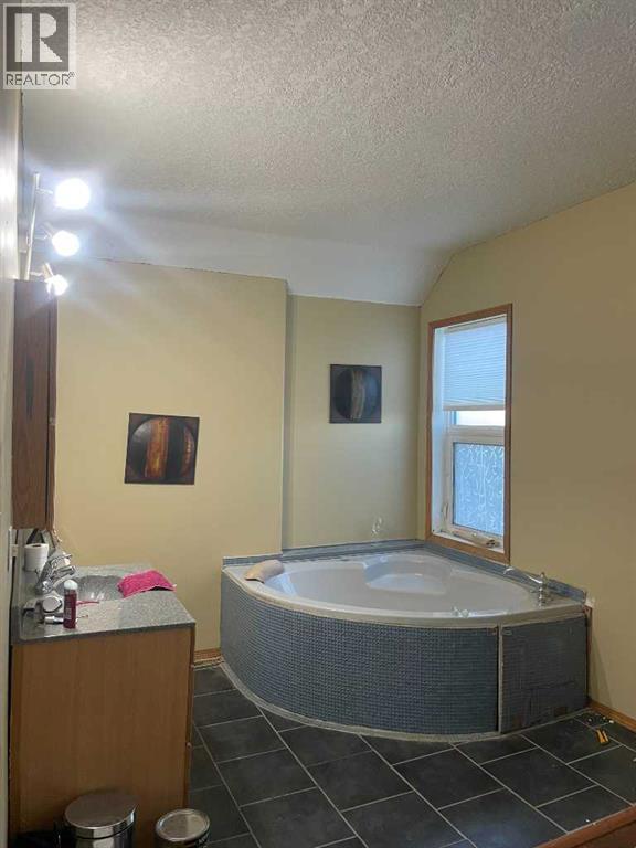 5135 49 Street, Consort, Alberta  T0C 1B0 - Photo 19 - A2273812