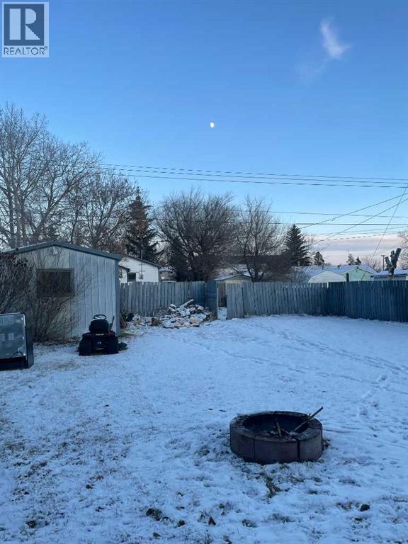 5135 49 Street, Consort, Alberta  T0C 1B0 - Photo 4 - A2273812