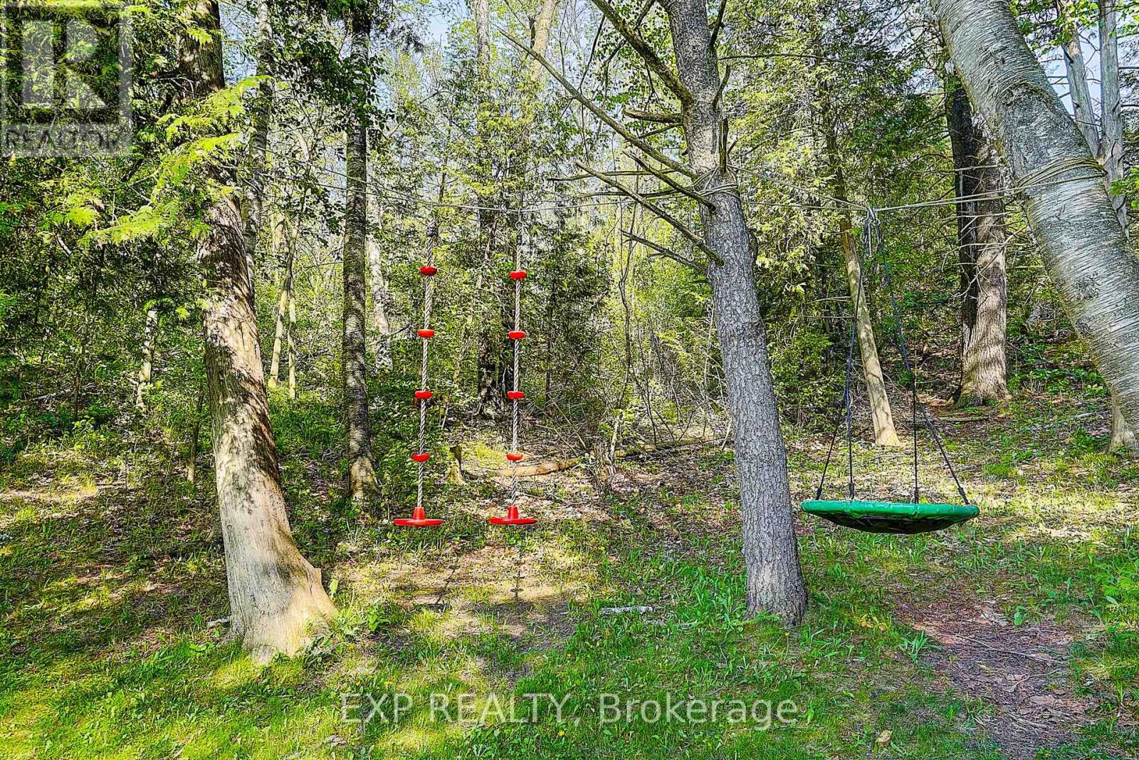 10 Anchor Court, East Gwillimbury, Ontario  L0G 1H0 - Photo 27 - N13217656