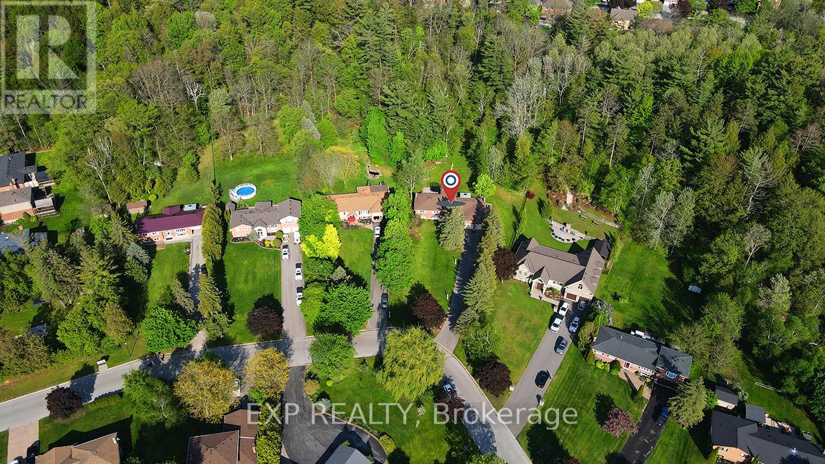 10 Anchor Court, East Gwillimbury, Ontario  L0G 1H0 - Photo 30 - N13217656