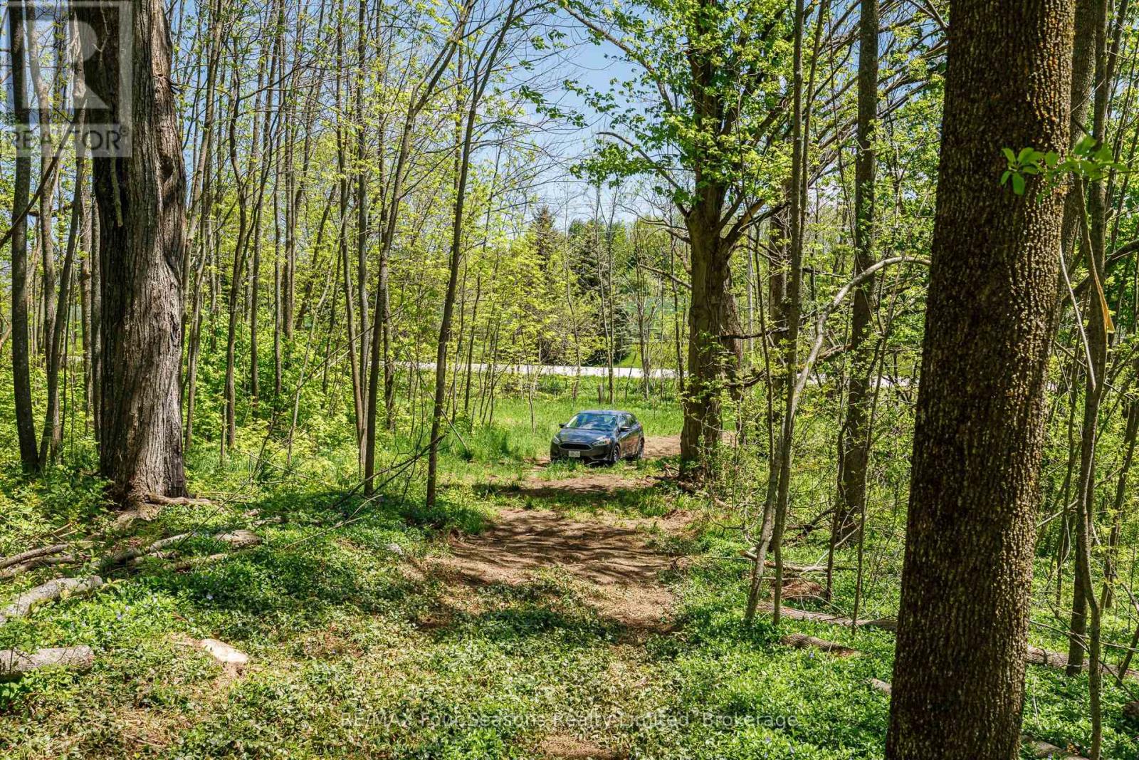 Pt Lt 12 Part 1 18 Grey Road, Meaford, Ontario  N4L 1W5 - Photo 14 - X13217704