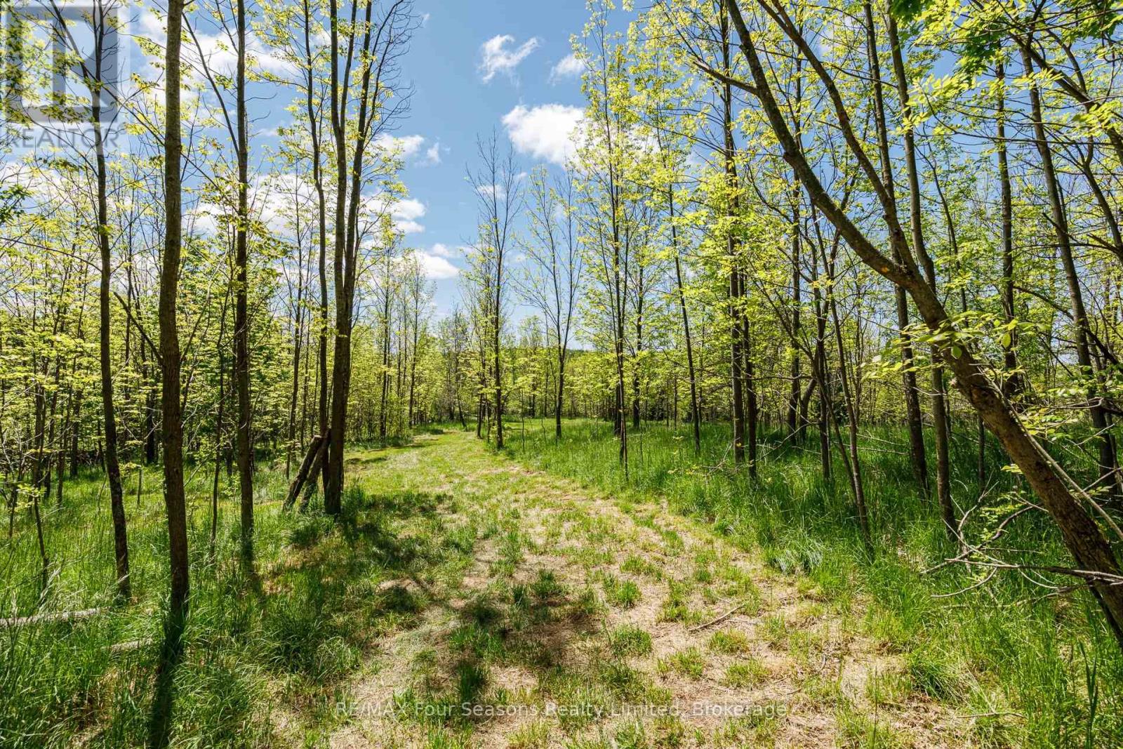 Pt Lt 12 Part 1 18 Grey Road, Meaford, Ontario  N4L 1W5 - Photo 8 - X13217704