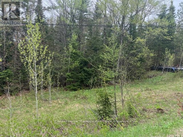 00 Highway 518 West Highway, Mcmurrich/monteith, Ontario  P0A 1Y0 - Photo 3 - X13217748