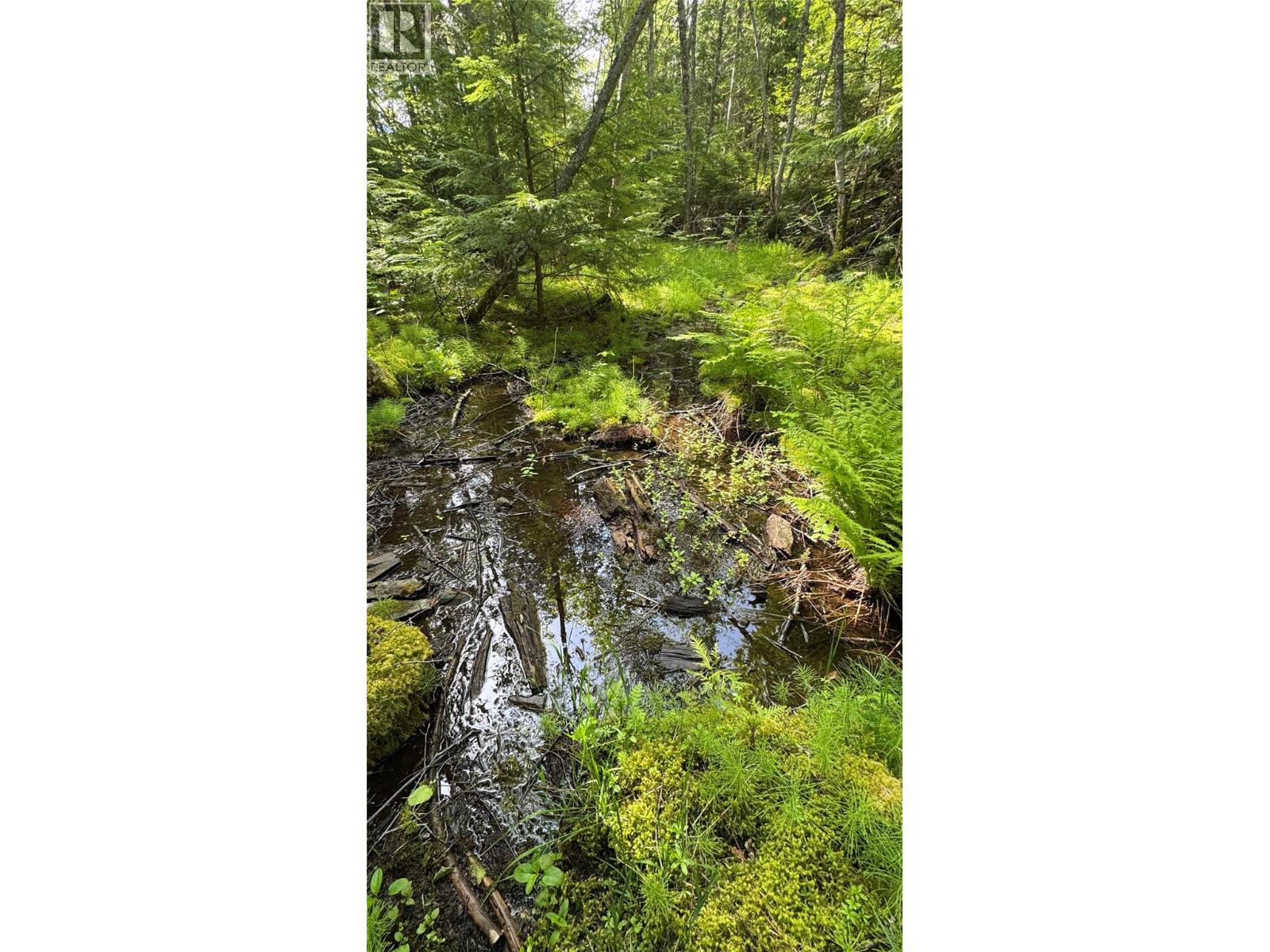 Highway 31 Lot# 5, Fletcher Creek, British Columbia  V0G 1M0 - Photo 15 - 10389388