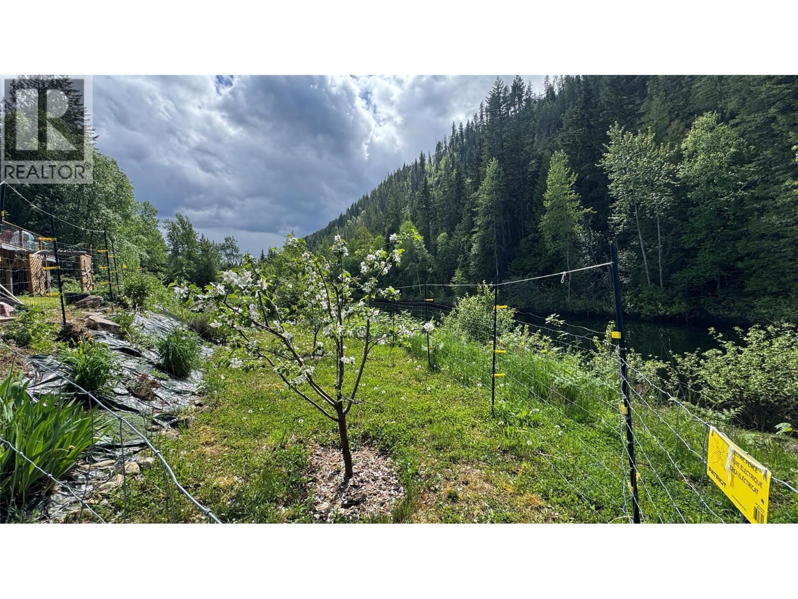 4761 Highway 31, Fletcher Creek, British Columbia  V0G 1M0 - Photo 42 - 10389227