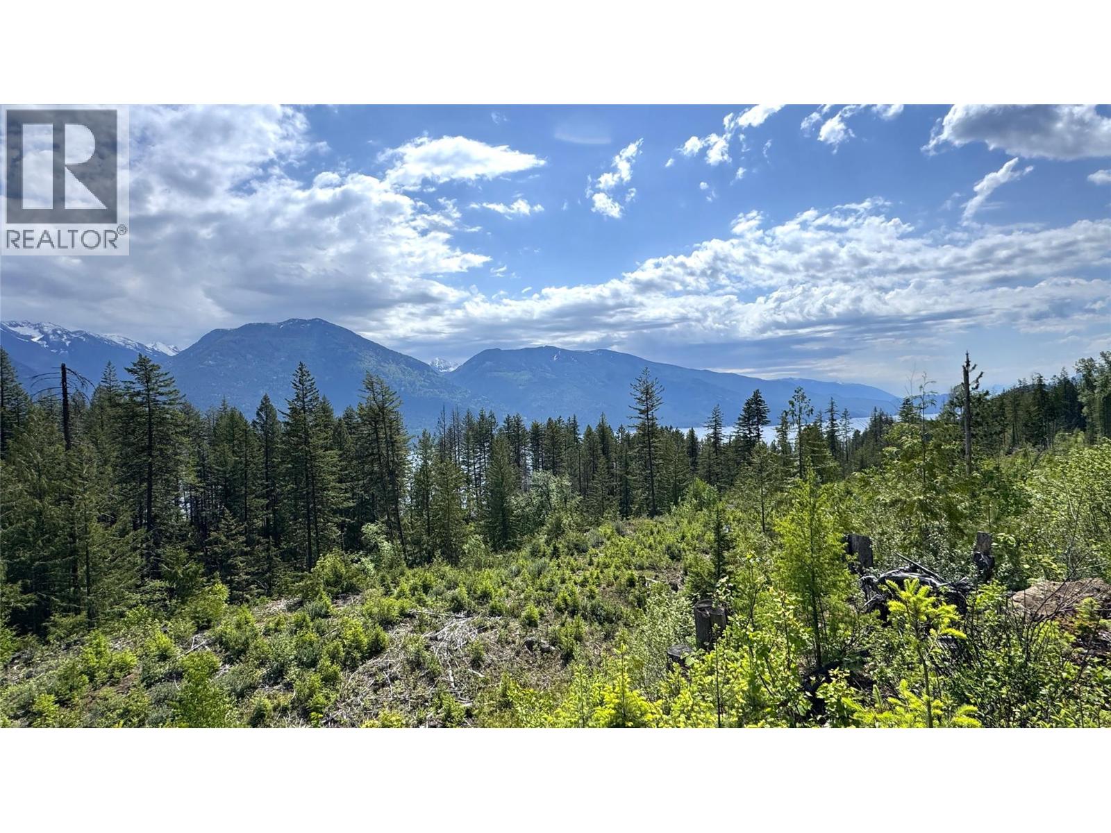 4761 Highway 31, Fletcher Creek, British Columbia  V0G 1M0 - Photo 47 - 10389227